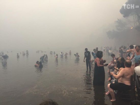  ������ ���� ����� 