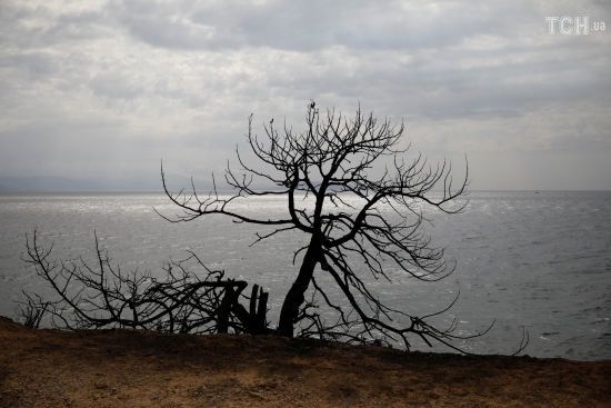  ������ ������� ������ ������� ������ ���������� �������� ������ 