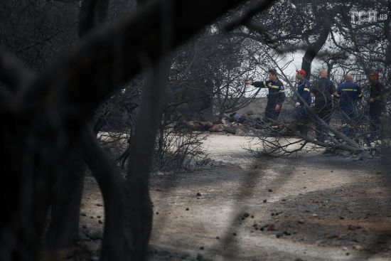  ������ �������� ��������������� ������� 