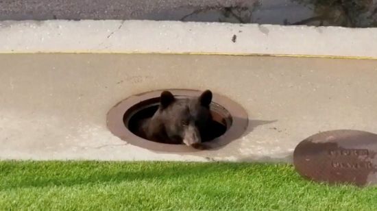  ������������ ������� ������� ������� ��������������� ���� 