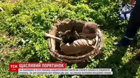  ��������� ��� ������������ ������� ������� ������ 