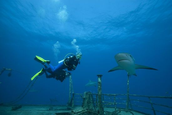  ������ ����� ������� ����� 