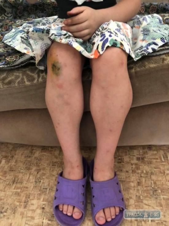  ����� ������ ��������� ������ ��������� ����� ������� 