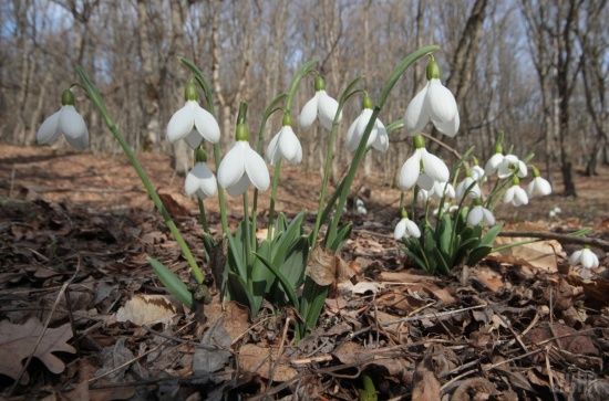  �������� ���� ��������� ������������ ����� ������� 