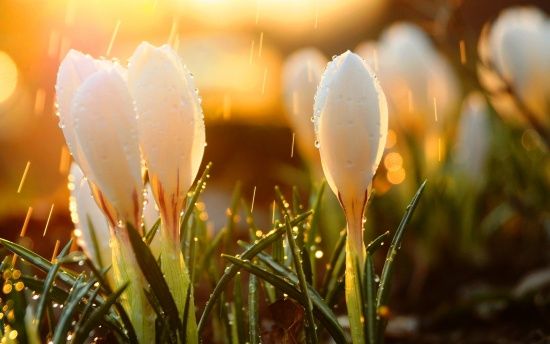 ����: ru.tsn.ua