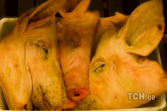  ������� ���� ������� 2019 