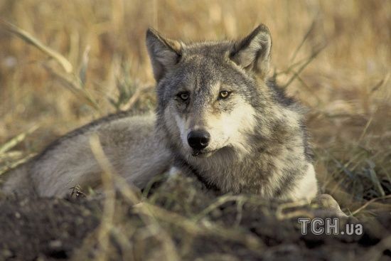  ����� ���� ���� ����� ������ �������� ����� ������ 