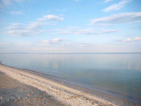  ��� ����������� ���� �������� ��������� ���������� �������� ������� 