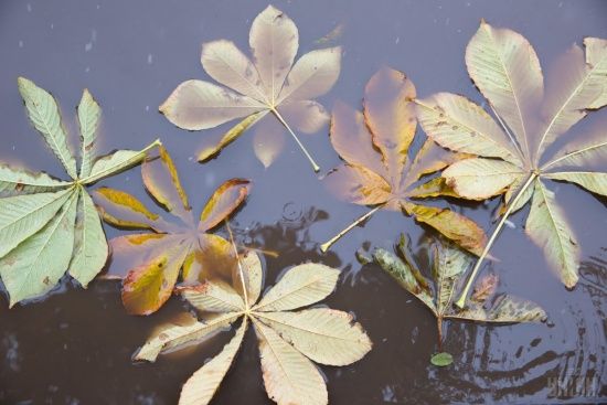  ����� ����� ���� ����������� ��������� ������� 