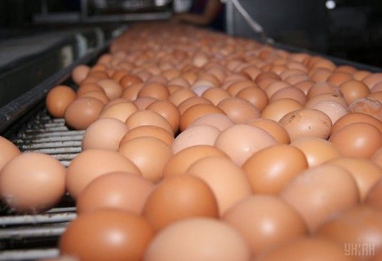 ����: ru.tsn.ua