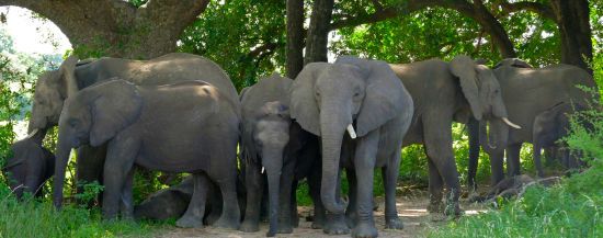 ����: ru.tsn.ua