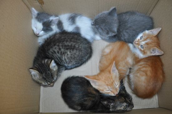  ���� ��������� �������� ������ 