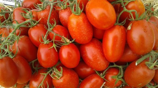  ��������� �������� ��������� ��� ������� ���� 