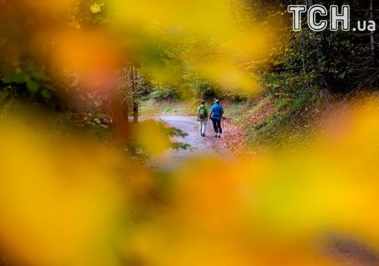  �������� ������� ���� ������� 