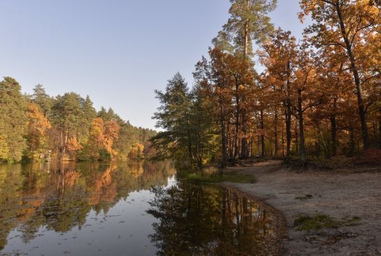  ����������� ��������� ������� ������� ������ ������ 