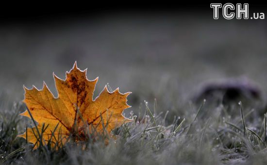  ��������� ������������� ���������� ����������� �������� ������� 