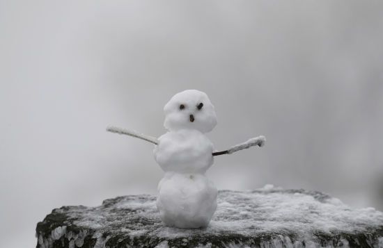 ����: ru.tsn.ua