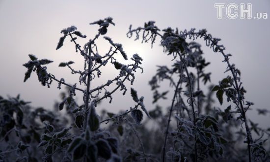  ���� ����� ����� ����������� ��������������� ������� ���������� �������� 