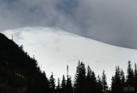  ����� ������ ��������� �������� 