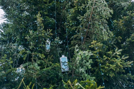  ������ ���� ��������� ���������� �������� ��� 