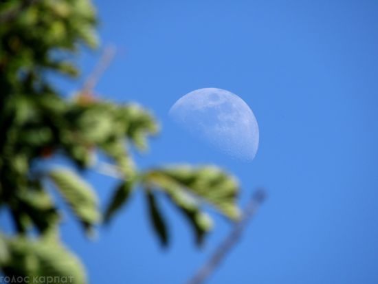  ������ ����� ������ 