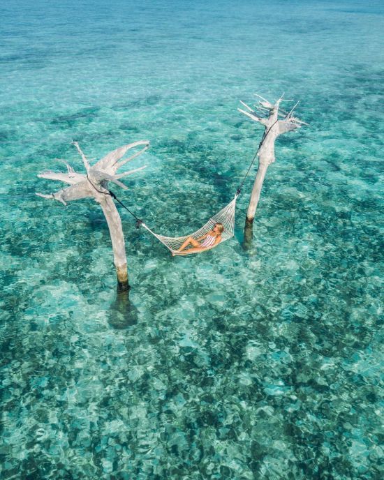  �������� ���� ������ ������ ����� ������� ������� ��������� 