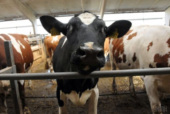 ����: ru.tsn.ua