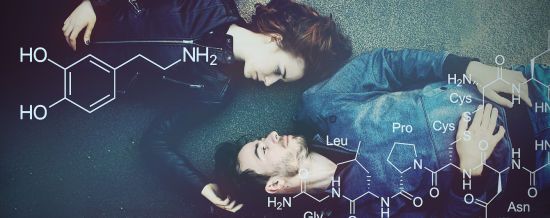  ���������� ������� ���������� ��������� ��������� ����� ������ 