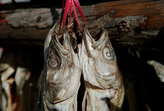 ����: ru.tsn.ua