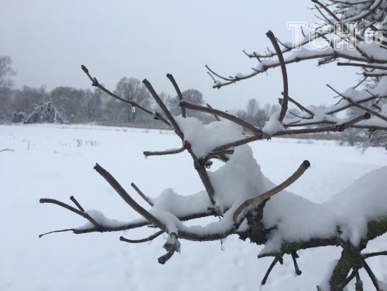  ������� ������� �������� ������ �������� ����� �������� 