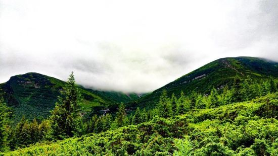  ������� ��� ��������� ��������� ������������� �������� ������� 