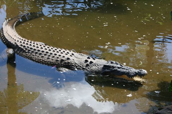  ���������� ��������� ������� ������ ����� ���������������� ��������� 