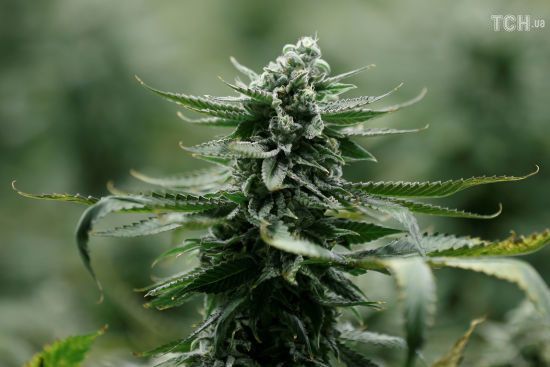  ������ �������� ���� 