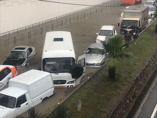  ���� ������� �������� ������ ����������� ������� ����� 