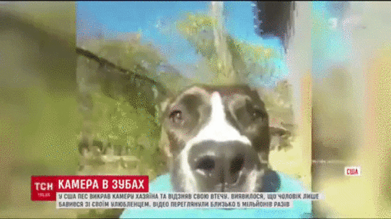  �������� ����� ���� ����� �������� ��������� ������ ����� 