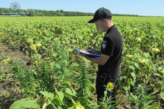 ����: ru.tsn.ua