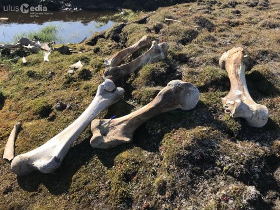  ������� ���� ������� ����� 