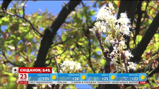  ����� ��� ������������� ������� ������� 