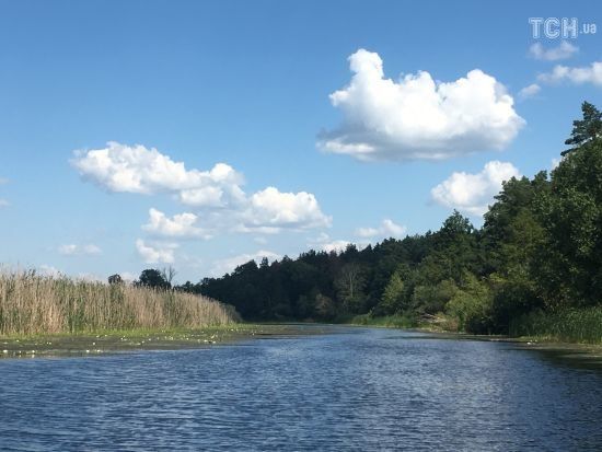  ���� ����� ����� ��������� 7-12 ����� ���� ������� 