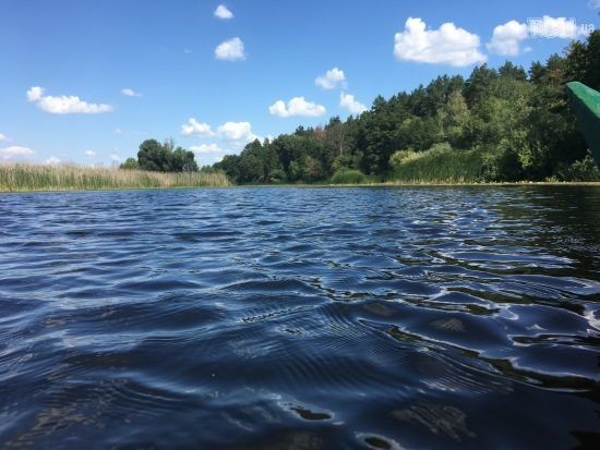  ���� ������ ������� ��������� 