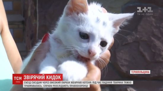 ����: ru.tsn.ua