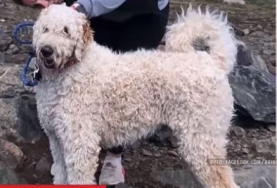  ��� ������ ������� ������ ������ 