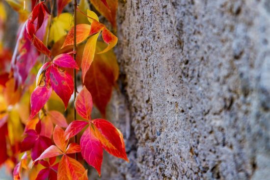  �������� ����� ������� ����������� ���� �������� ����� 3-8 