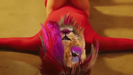  ���� ����� ������� 