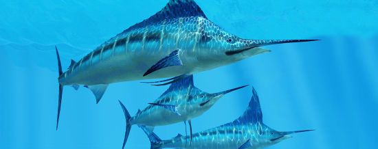 ����: ru.tsn.ua