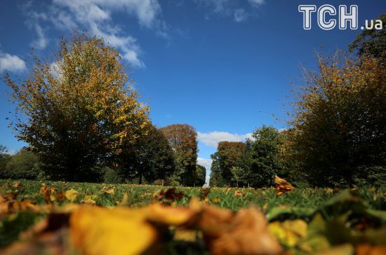  ����� ������ ������� ������� ������ �������� 