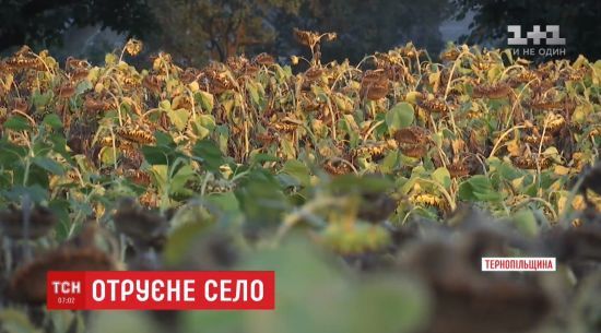  ������������� ��������� ����� ���������� ���������� 250 ����� 