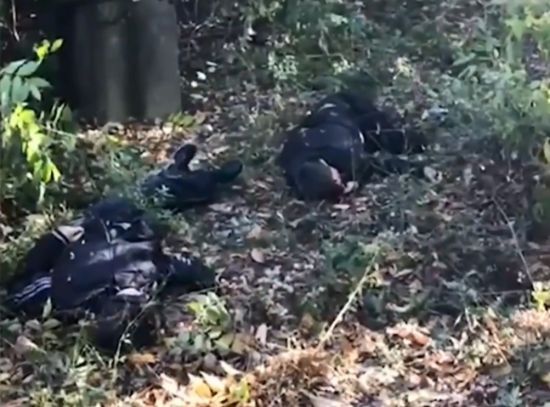  ��������� ��������� ����� ������� ������� ����� ���� �������� 