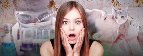  ������� ����������� ������������ 