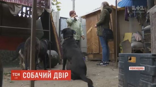  ���� ����� ������ ��������� ���� ����������� ������� ���� 